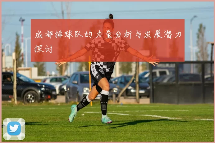 成都排球队的力量分析与发展潜力探讨