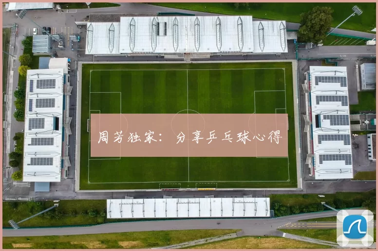 周芳独家：分享乒乓球心得