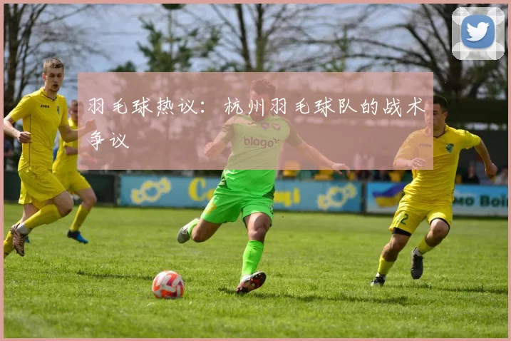 羽毛球热议：杭州羽毛球队的战术争议