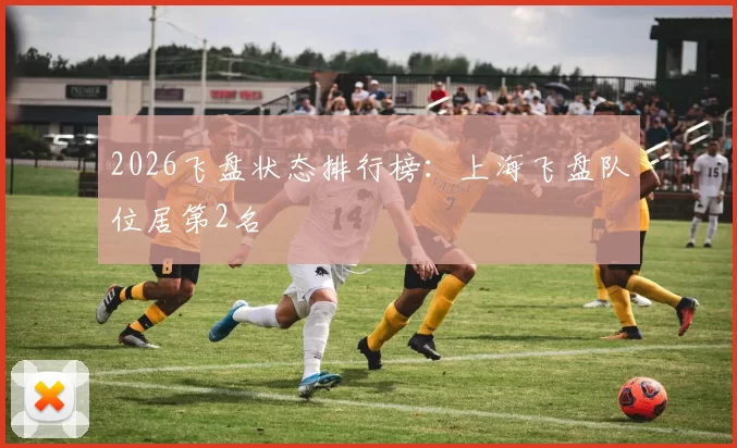 2026飞盘状态排行榜：上海飞盘队位居第2名