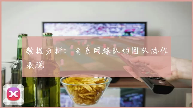 数据分析：南京网球队的团队协作表现