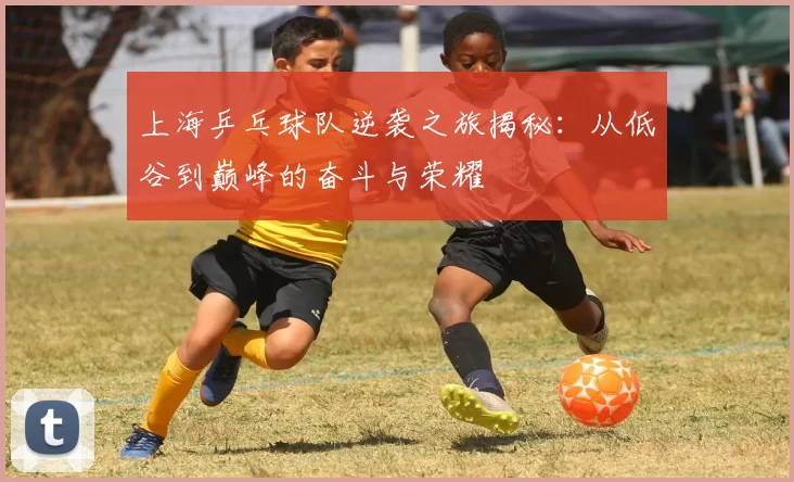 上海乒乓球队逆袭之旅揭秘：从低谷到巅峰的奋斗与荣耀