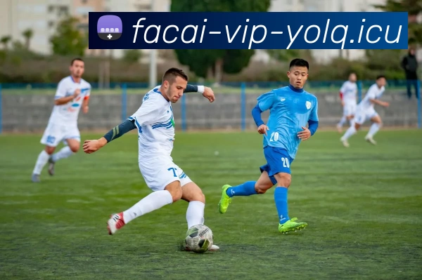 乐鱼体育平台生态图