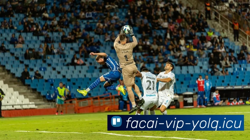 乐鱼体育APP 封面图